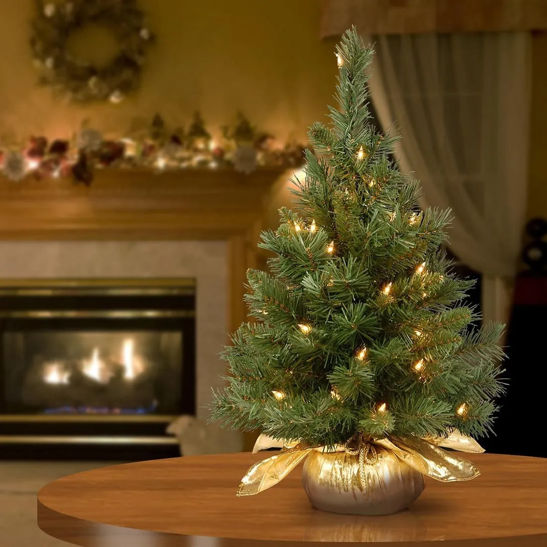 24" Majestic Fir Pre-Lit Potted Foyer Tree