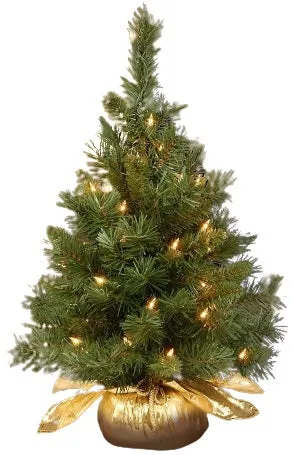 24" Majestic Fir Pre-Lit Potted Foyer Tree