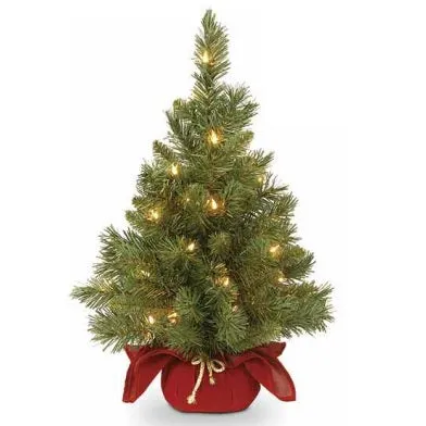 24" Majestic Fir Pre-Lit Potted Foyer Tree