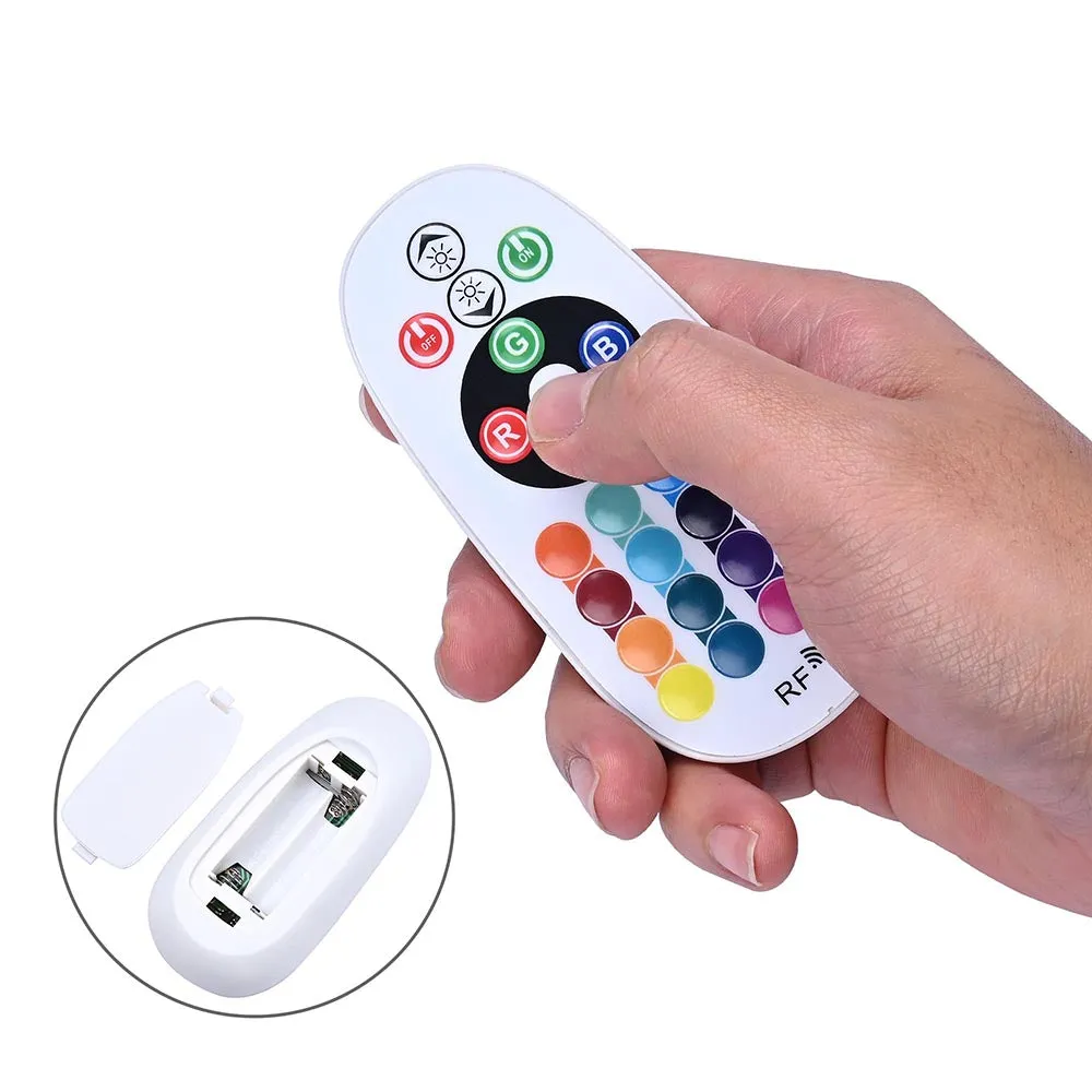 DIY AC110V RF Remote   Controller for LED Neon Light Multi-Color