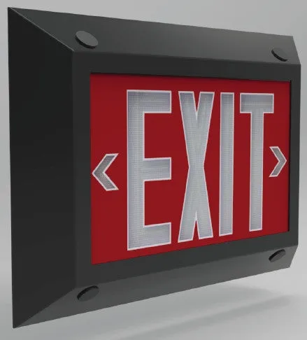 Exit Signs Institutional Frame