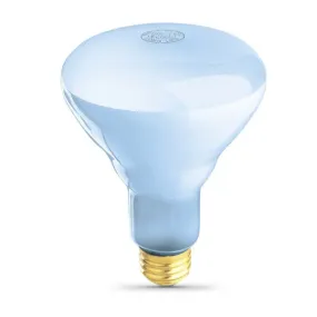 Feit Electric 65 Watt Incandescent BR30