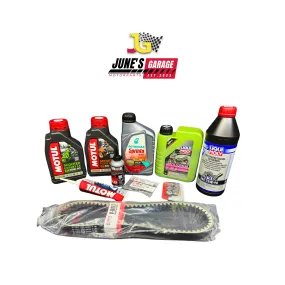 Liqui Moly CVT Servicing N-Max/Aerox (with labour)