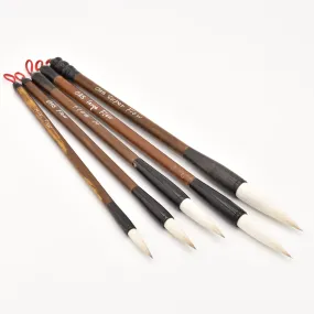 Set of 5 - Flow Brushes