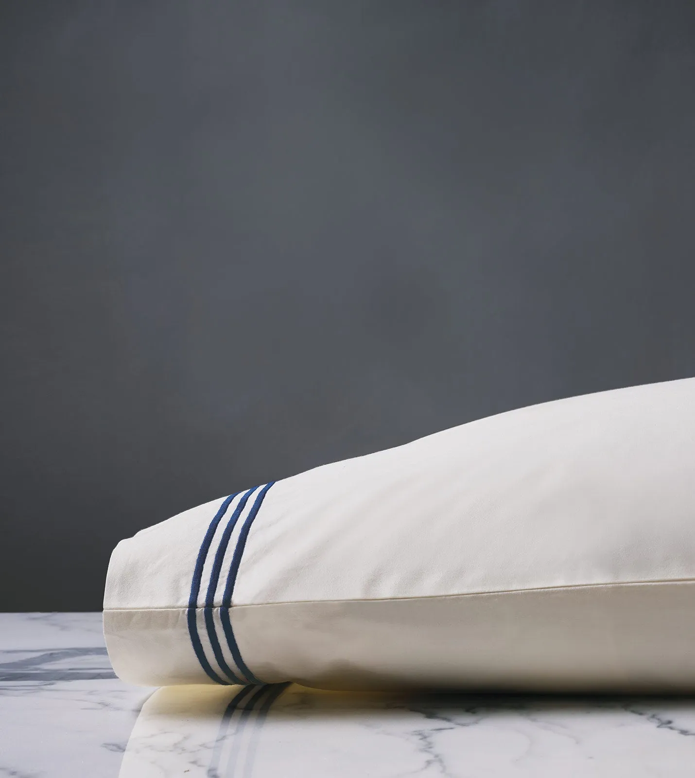 Tessa Ivory King Pillowcase (21x37) in Navy